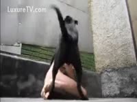 Horny man makes out with his dark pooch